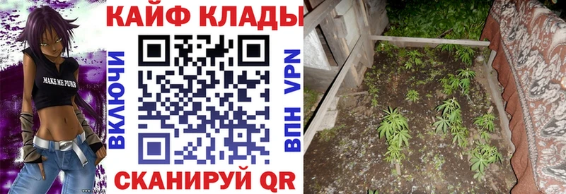 Наркошоп купить ГАШИШ Метадон Мефедрон Бошки Шишки Кизел