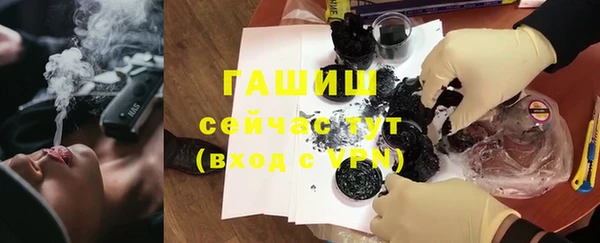 гидра Михайловка