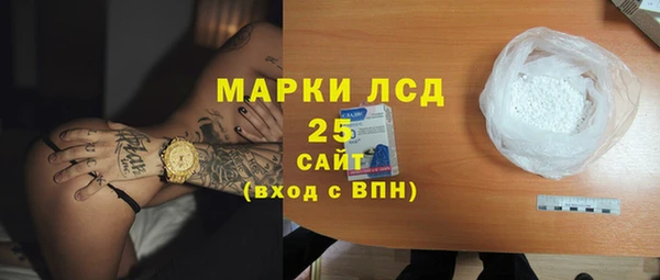 гидра Михайловка