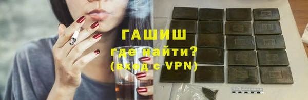 гидра Михайловка