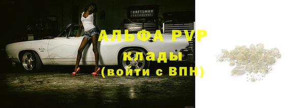 гидра Михайловка
