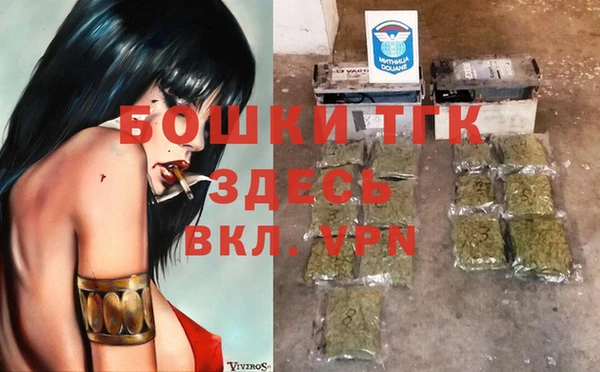 гидра Михайловка