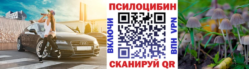 Галлюциногенные грибы Psilocybine cubensis  Купить закладки  Кизел 